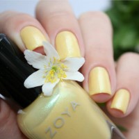 zoya nail polish and instagram gallery image 12 zoya nail polish and instagram gallery image 12