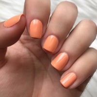 zoya nail polish and instagram gallery image 21 zoya nail polish and instagram gallery image 21