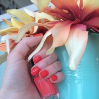 zoya nail polish and instagram gallery image 2 zoya nail polish and instagram gallery image 2