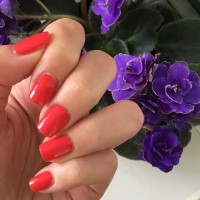 zoya nail polish and instagram gallery image 0 zoya nail polish and instagram gallery image 0