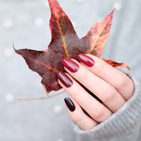 zoya nail polish and instagram gallery image 24 zoya nail polish and instagram gallery image 24