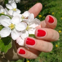 zoya nail polish and instagram gallery image 3 zoya nail polish and instagram gallery image 3