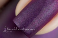 zoya nail polish and instagram gallery image 15 zoya nail polish and instagram gallery image 15