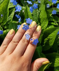 zoya nail polish and instagram gallery image 3 zoya nail polish and instagram gallery image 3