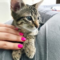 zoya nail polish and instagram gallery image 8 zoya nail polish and instagram gallery image 8