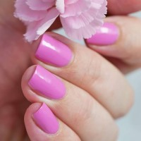 zoya nail polish and instagram gallery image 16 zoya nail polish and instagram gallery image 16