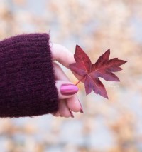 zoya nail polish and instagram gallery image 14 zoya nail polish and instagram gallery image 14