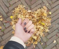 zoya nail polish and instagram gallery image 0 zoya nail polish and instagram gallery image 0