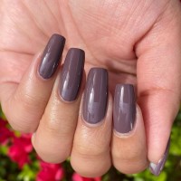 zoya nail polish and instagram gallery image 0 zoya nail polish and instagram gallery image 0